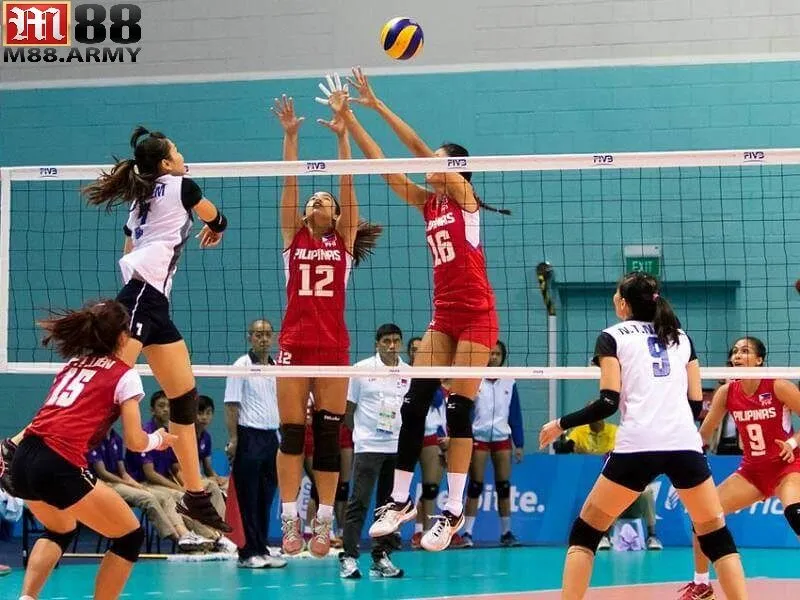 Cá cược bóng chuyền là gì?