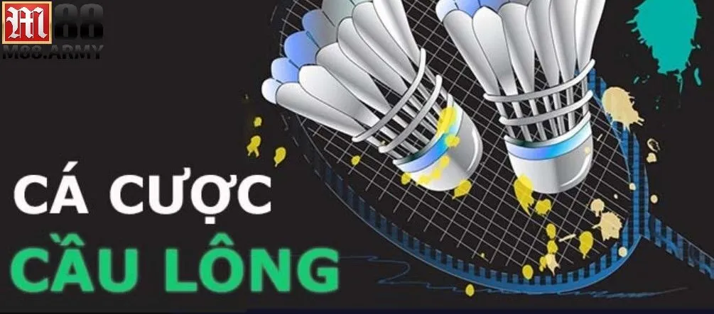 Cách tham gia cược cầu lông đơn giản nhất