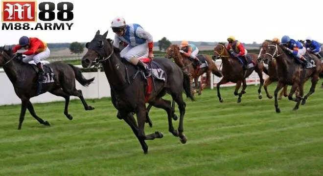 Cách cá cược đua ngựa hiệu quả