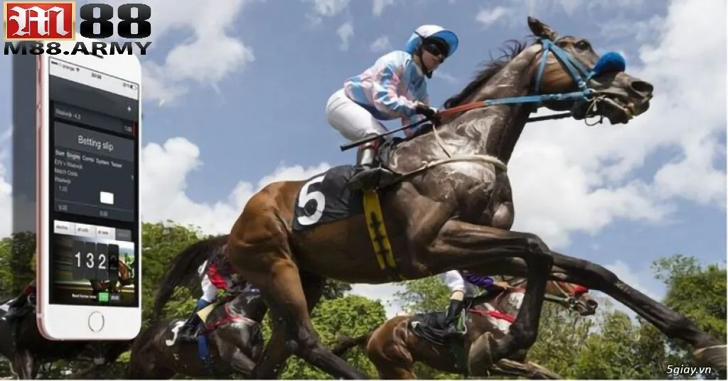 Những lợi ích khi biết cách cá cược đua ngựa