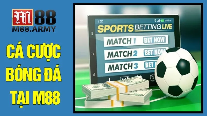 Chiến thuật cá cược chính xác tại nhà cái